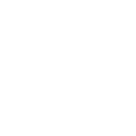 UFC